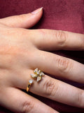 Fan Ring